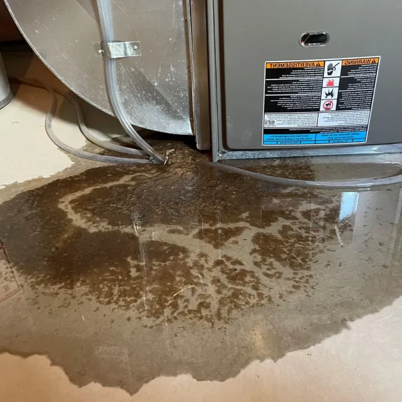 Pipe Burst and Leak Restoration in Northumberland, NY